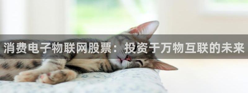 凯发k8旗舰厅app下载攻略